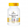 Hyaluronsäure 200 mg, 60 Kapseln, hochdosiert