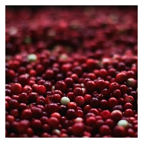 Früchtetee Cranberry - 100 g